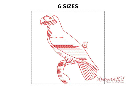 African Grey Parrot Design: A Versatile Embroidery Gem